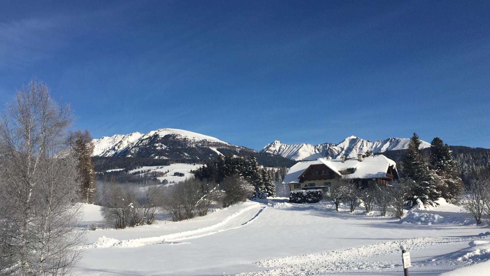 Gaestehaus Essl Mariapfarr Bagian luar foto